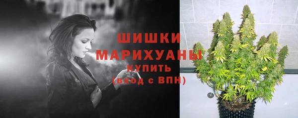 дживик Волосово