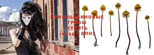 дживик Волосово