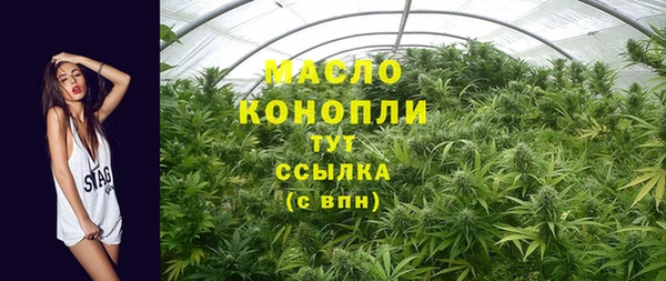 гидра Володарск