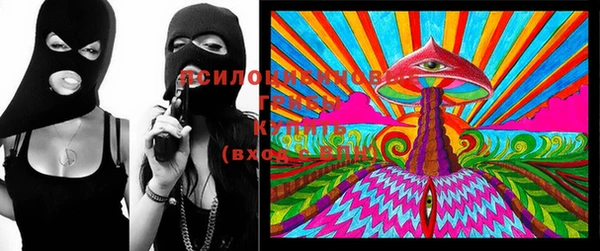 прущий лед Бронницы