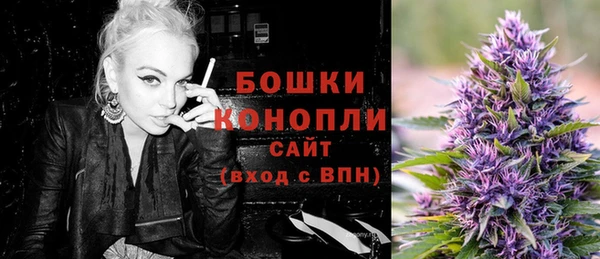гидра Володарск