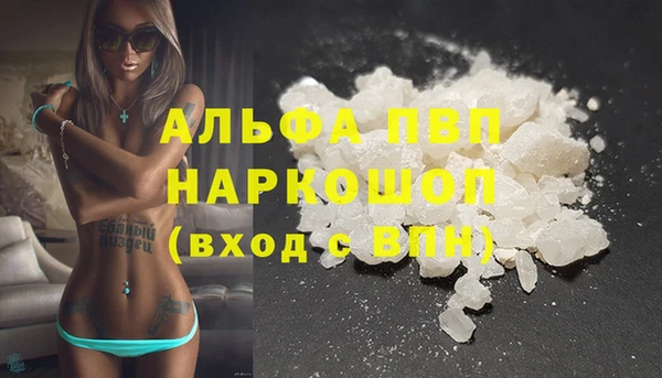 гидра Володарск