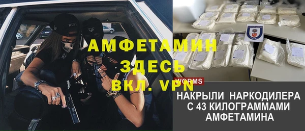 гидра Володарск