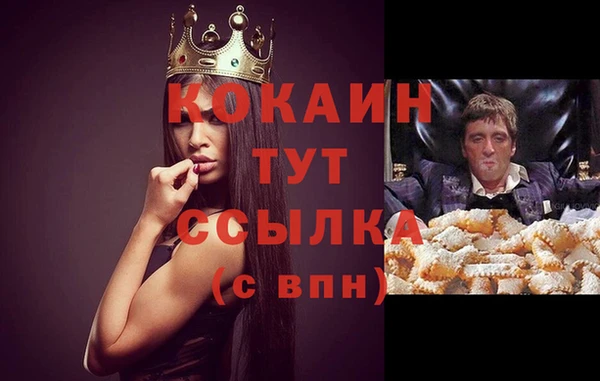 гидра Володарск
