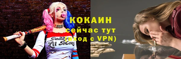 прущие грибы Строитель